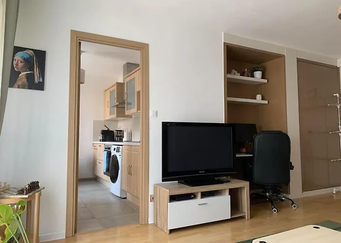 Grand Appartement - Nancy Centre - 2 Chambres 2 Lits